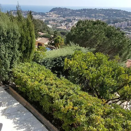 Rez De Jardin Dans Vue Apartament *